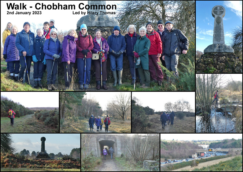 Walk - Chobham Common - 2nd January 2023